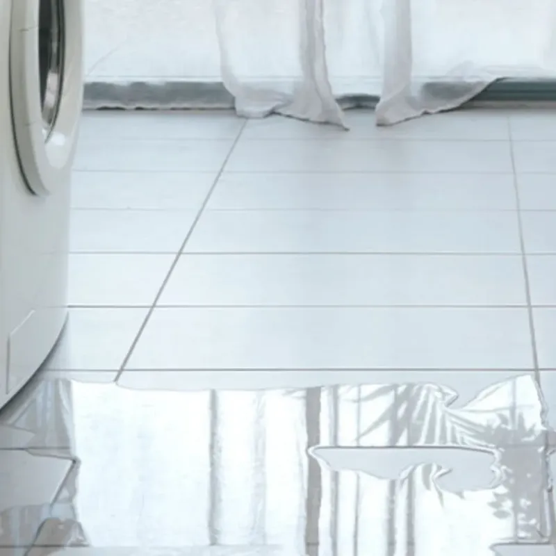 Appliance Leak Cleanup in Bude, MS