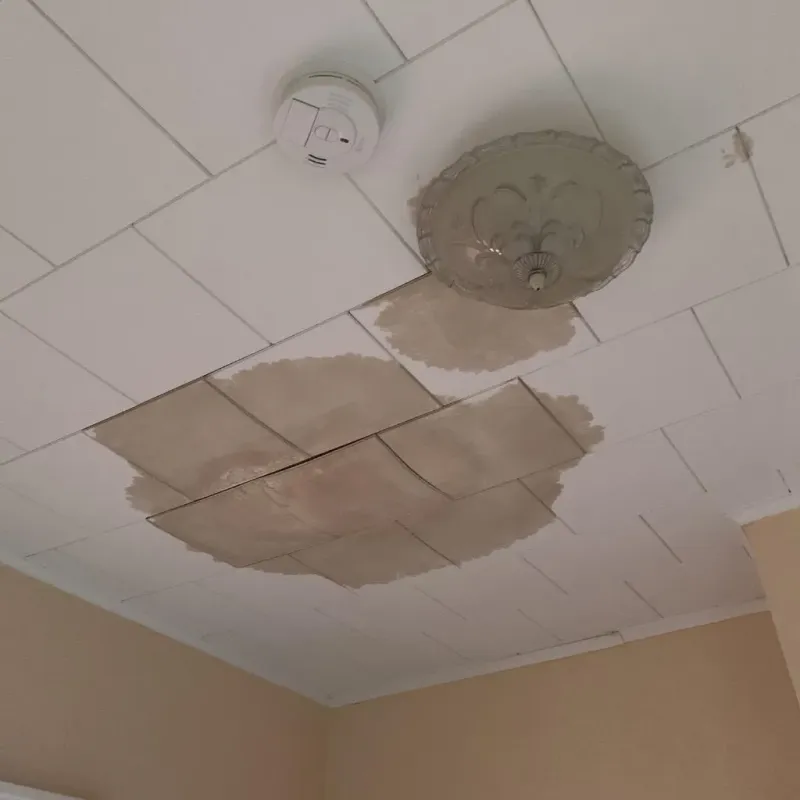 Ceiling Water Damage Repair in Bude, MS