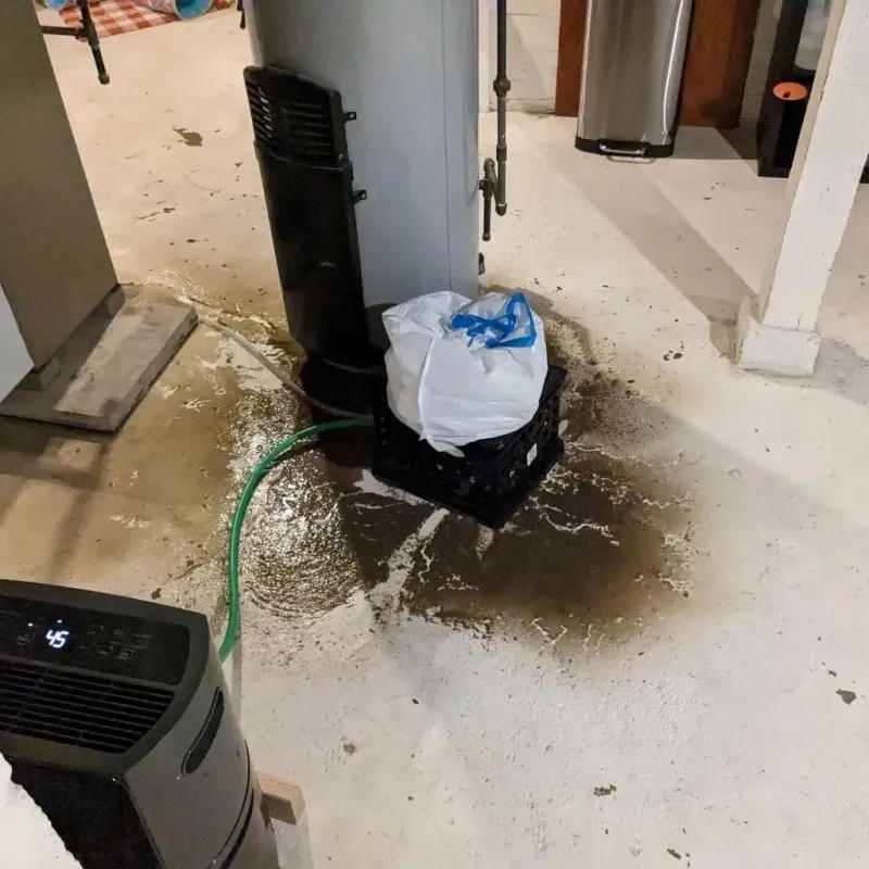 Sewage Backup Cleanup Service in Bude, MS